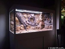 Amazone 3D aquarium-terrarium achterwand 200x60