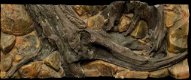Amazone 3D aquarium-terrarium achterwand 200x60 - 4 - Thumbnail