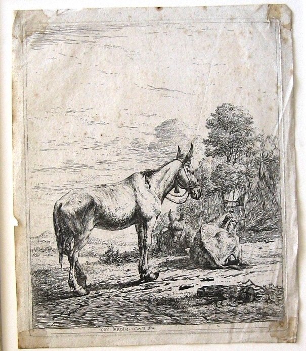 Ets Karel Dujardin 1653 Muilezel met bel aan halster & ezels - nr. 1
