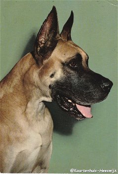 Hondenkaart 1975 - 0
