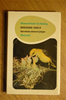 Broedende vogels: hun nesten, eieren en jongen - 0
