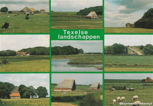 Texelse Landschappen - 0