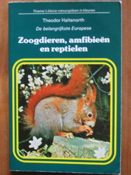 Zoogdieren, amfibieën en reptielen (belangrijkste Europese) - 0