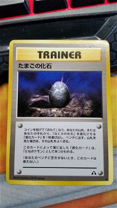 Fossil Egg (Japanese)  (Neo Discovery)  gebruikt
