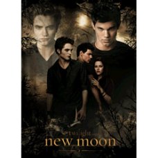 3D poster Twilight - New Moon bij Stichting Superwens!