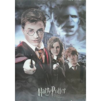 Harry Potter 3D poster bij Stichting Superwens! - 0