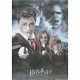Harry Potter 3D poster bij Stichting Superwens! - 0 - Thumbnail