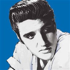 Elvis Presley art print bij Stichting Superwens!