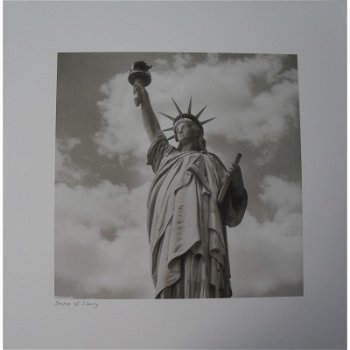 Art print Statue of Liberty bij Stichting Superwens! - 0