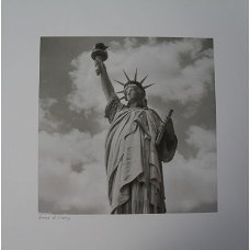 Art print Statue of Liberty bij Stichting Superwens!