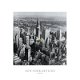 New York Skyline spring art print bij Stichting Superwens! - 0 - Thumbnail