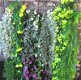 GUIRLANDE - GELE BLOEMETJES - HANGING GARDEN - 4 - Thumbnail