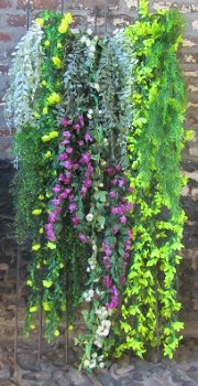 GUIRLANDE - GELE BLOEM - HANGING GARDEN - 3