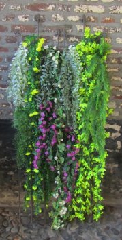 HANGING GARDEN - 3