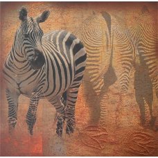 Zebra art print bij Stichting Superwens!