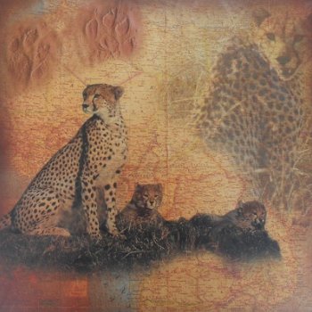 Cheetah art print bij Stichting Superwens! - 0