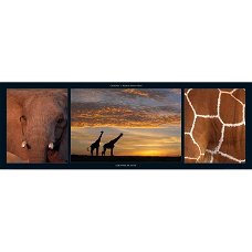 Giraffes at Dusk art print bij Stichting Superwens!