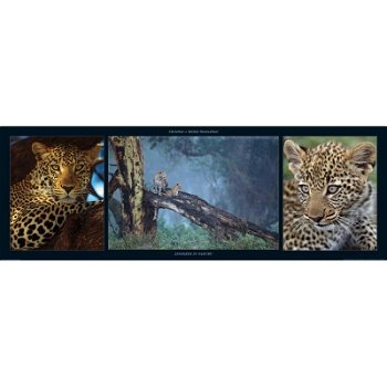 Leopards in Nakuru art print bij Stichting Superwens! - 0