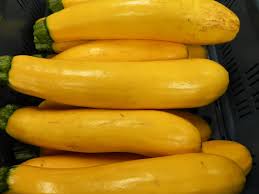 Zaden van een milde gele Courgette GERESERVEERD - nr. 1