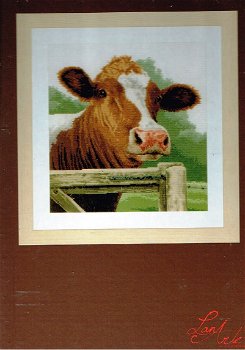 AANBIEDING LANARTE BORDUURPAKKET ,WONDERING COW 036 - 0