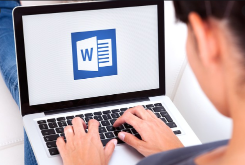 Basiscursus Microsoft Word (zelfstudie/online begeleiding) - 0