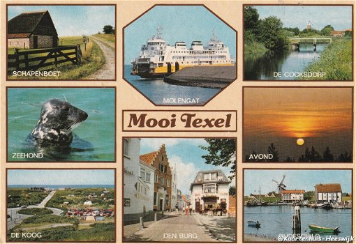 Mooi Texel 1989 - 0