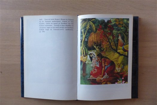 het KRSNA boek - 2