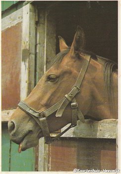 Paardenkaart 1974 - 0