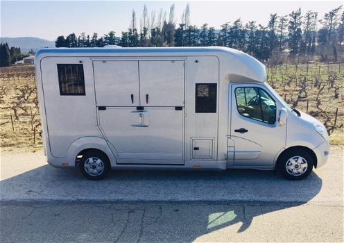 Renault master dci 170 bi turbo paardentransport - 1