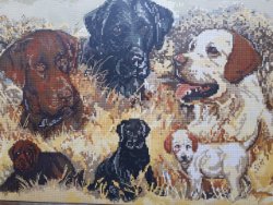 Borduurpakket "LABRADORS" NIEUW !