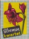 Bloemenkwartet - 0 - Thumbnail