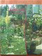 Sophora natuurtuinen - 0 - Thumbnail