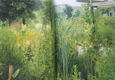 Sophora natuurtuinen - 5 - Thumbnail