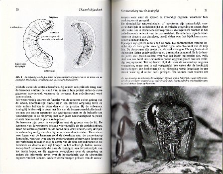 Thieme's Bijenboek - 3