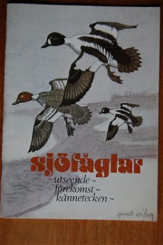 Sjöfåglar (watervogels) - 0