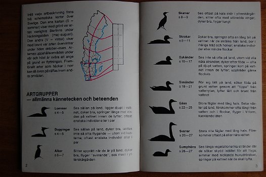 Sjöfåglar (watervogels) - 4