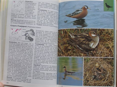 F. Sauer: Watervogels van Europa - 1
