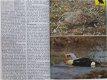 F. Sauer: Watervogels van Europa - 2 - Thumbnail