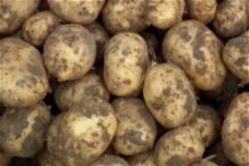 NU 🥔 Aardappelen 5kg voor maar ⤵️ GRATIS Thuisbezorgd 📫