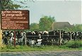 Nudisten camping De Grazige Weide - 0 - Thumbnail