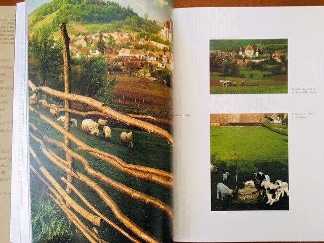 Transylvania - Fragile wonder - Szaraz, Teth - Afbeelding 4