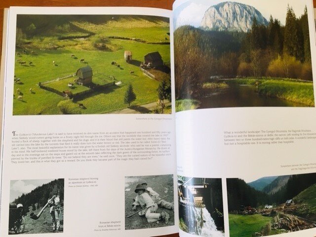 Transylvania - Fragile wonder - Szaraz, Teth - Afbeelding 8