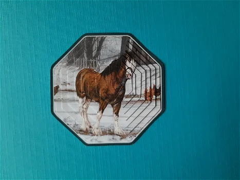 p404 Paard in de sneeuw - 0