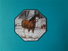 p404 Paard in de sneeuw