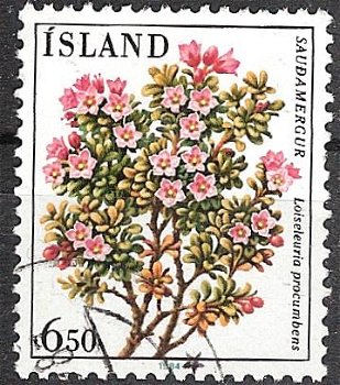 island 0619 - 0