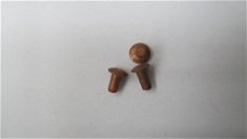 roodkoperen klinknagels ; bolkop :  2 x 5 mm. 30 stuks € 2,50  