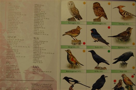 Naturguide. Fågelskådare (Vogelskijken) - 3