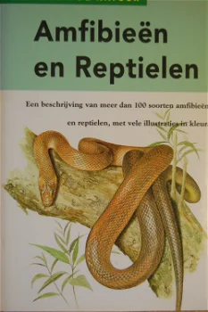 Amfibieën en reptielen - 0