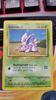 Nidoran(M) 55/102 Common Unlimited Base Set IP gebruikt - 0