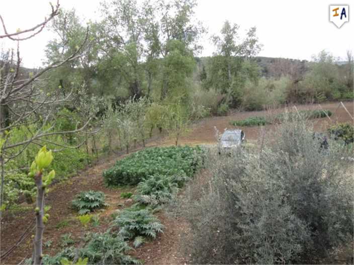 Spaanse Cortijo onder 50.000€ zwembad/land/Alcaudette/JAEN Voorlopig GERESERVEERD - Afbeelding 2